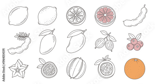 Variety of fruit illustrations on white 1.