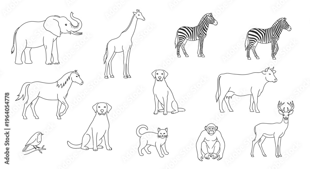 Naklejka premium Various animals in a single frame 1.