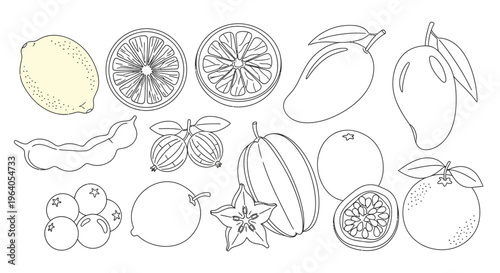 Variety of whole and cut fruits.
