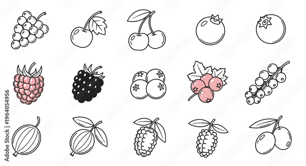Fototapeta premium Various types of fruit illustrations.
