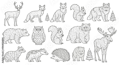 Various forest animals illustrations.