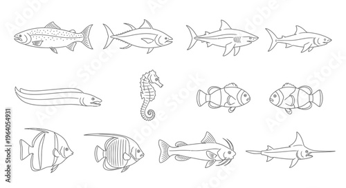 Various species of fish illustrations.