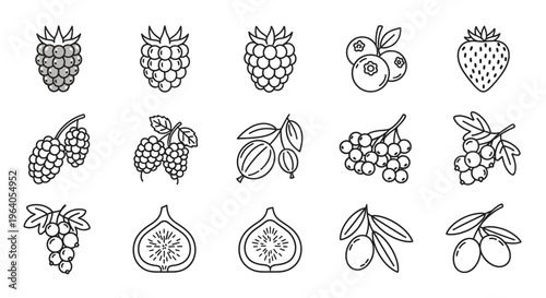 Various types of fruit icons line art.