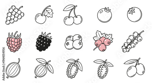 Various types of fruit illustrations.