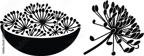 Dill seed umbrella spice herb in bowl and single sprig silhouette art