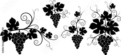Black grapevine ornament set with leaves and clusters. Transparent background EPS version.