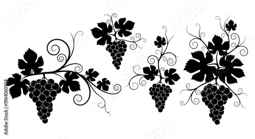 Black grapevine ornament set with leaves and clusters. Transparent background SVG version.