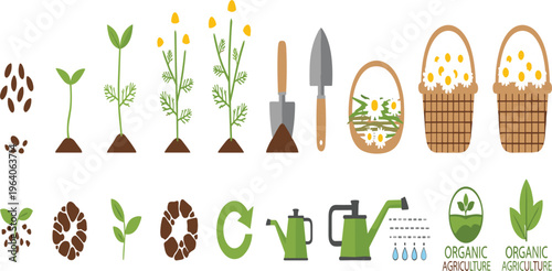 Gardening and Plant Growth Vector Set Featuring Seed Germination Flower Cultivation Tools Watering Can and Organic Agriculture Elements for Farming and Nature Design
