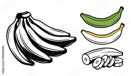 Banana bunch and individual green and yellow bananas with sliced pieces vector illustration