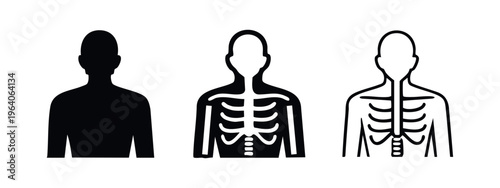 Human Torso and Rib Cage Anatomy Icons - Medical Body Outline in Different Styles