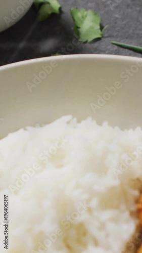 Vertical video: Rice curry bowl revealing, halftone shifting, terminal text scrolling for food ad