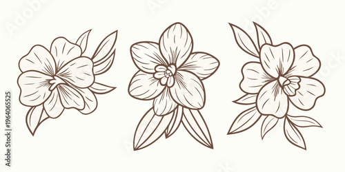 Delicate floral arrangement with three blooms in a sketched silhouette