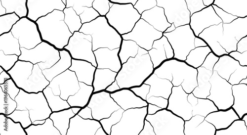 Cracked Dry Earth Texture, White Background, Seamless Pattern