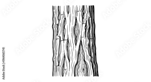 Detailed illustration of rough tree bark texture, black and white graphic