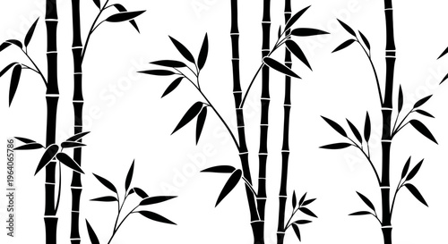 Black Bamboo Stalks and Leaves Silhouette on White Background