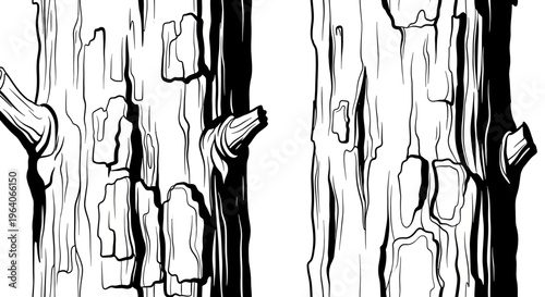 Close-up of Textured Tree Bark, Black and White Illustration