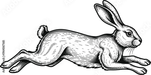 Detailed vector illustration of a running wild hare captured in a dynamic side profile etching style graphic