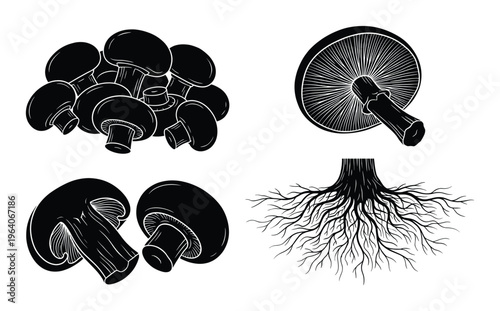 Black and white hand drawn mushroom set with whole sliced and root icons isolated on transparent background