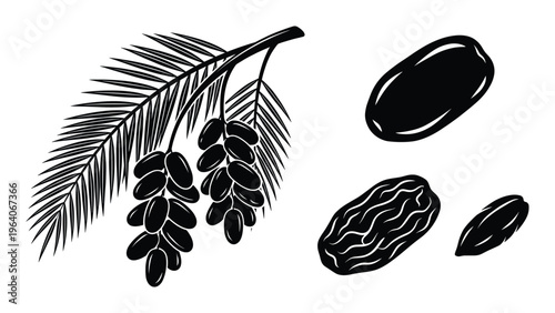 black silhouette of dates on palm branch and dried fruits set vector illustration isolated