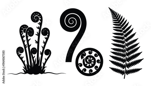 Black silhouette of fern leaves and koru spiral symbols isolated on transparent grid background set