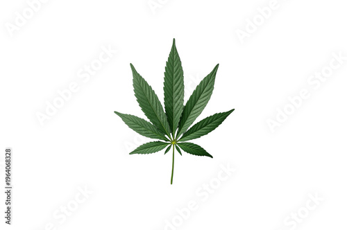 Cannabis leaf symbolising legalisation and natural health