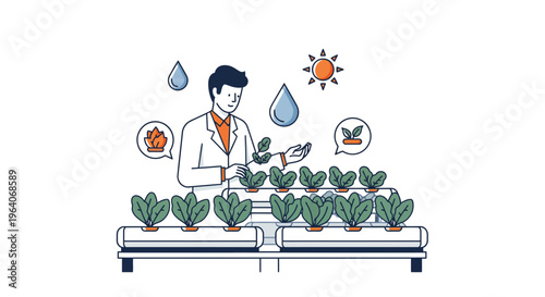 Male scientist checks small green plant crops in modern smart indoor hydroponic vertical farm system