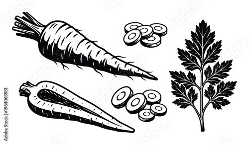 Carrot whole root cut in half and slices with parsley leaves on transparent background