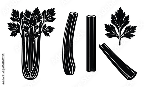 Celery bunch stalks and leaves black silhouette vector graphic, fresh vegetable illustration