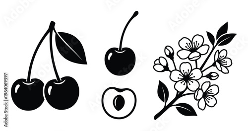Cherry fruit and blossom set flat style vector illustration sweet and sour berry design