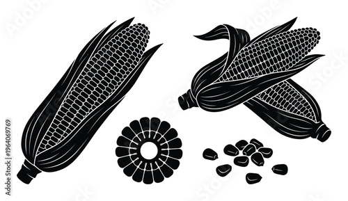 Corn cob vector set with husked ears sliced kernel round and loose seeds isolated on transparent background