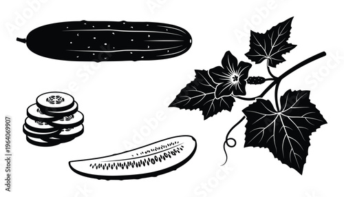 Cucumber elements fresh and sliced with leaves and flowers for healthy diet and organic food