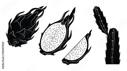 Dragon fruit icons whole and sliced cactus fruit vector silhouette set