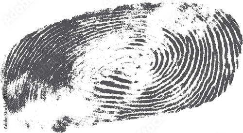 Detailed dark grey fingerprint impression with concentric ridge patterns on a white background