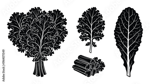 Kale bunch icons leaf and stalk bundle sliced cross section vector silhouette