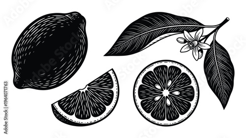 Lemon fruit sliced half and wedge with leaves and flower for fresh juice and healthy recipes