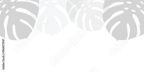 Tropical monstera leaves pattern background, soft pastel green botanical illustration, flat lay design vector illustration