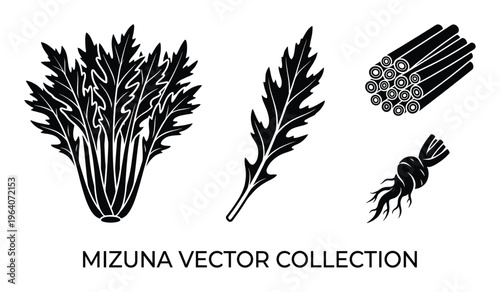 Mizuna greens and root vegetable vector collection isolated on transparent background illustration