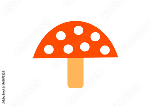 fly agaric mushroom