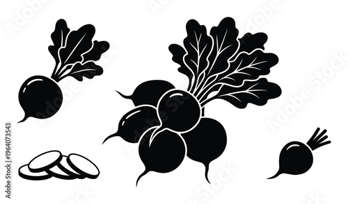 Radish vegetable set flat style vector illustration whole and cut root crop design