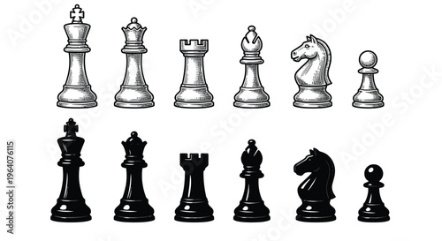 A collection of black and white chess pieces arranged in a row