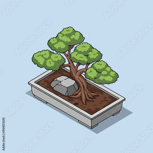 a bonsai tree in a pot.