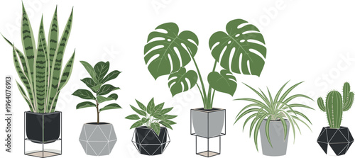 Indoor houseplants collection with potted greenery monstera snake plant decorative home garden botanical vector illustration set