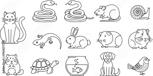 Cute Pet and Small Animal Outline Clipart Set for Coloring Pages
