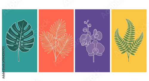 Botanical illustrations of Monstera, palm, orchid, and fern leaves on colorful backgrounds