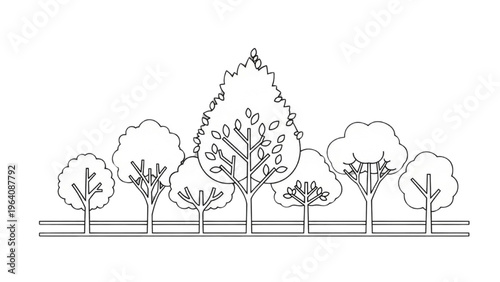 A vector CAD design style illustration of trees in a park landscape