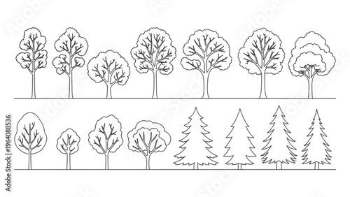 Various trees in vector CAD design style on a landscape