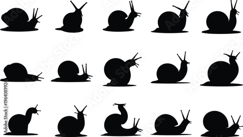 Snail Silhouette Icon Collection Set