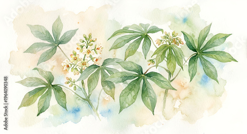 cassava leaf flowers