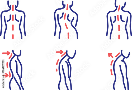 Illustrations of human nervous system reflex arcs and signal pathways