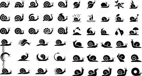 Snail icons, black silhouettes, 40 snail shell symbols, vector illustrations, animal icons